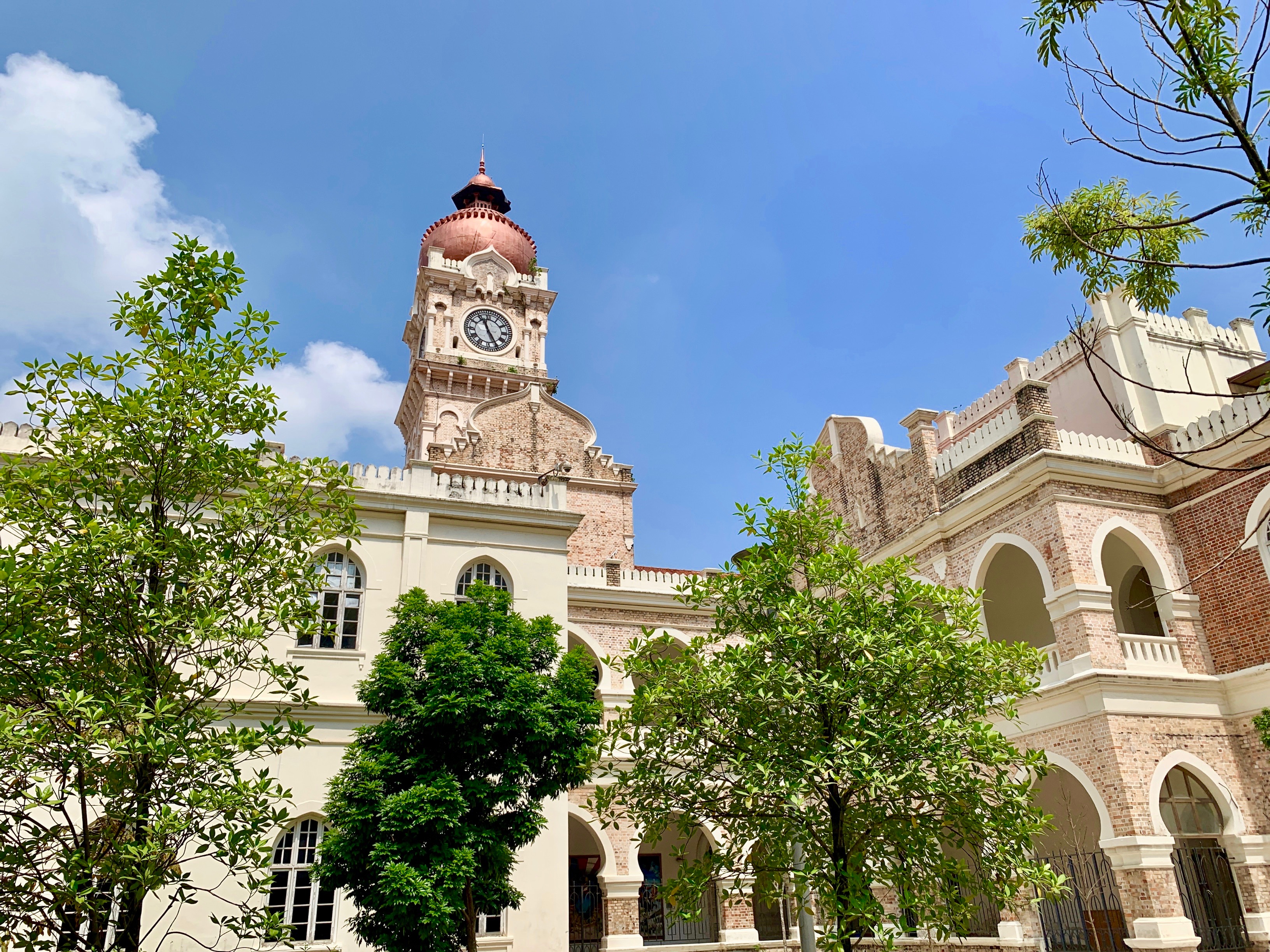 テレビ出演の価値は3600万円 Daisies